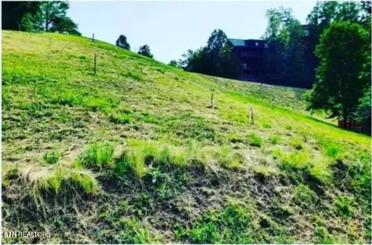 1624 Mountain Lodge Way, Pigeon Forge, TN 37862 - #3