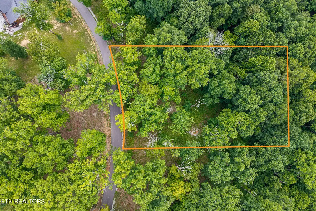 N Rock Fish Rd, Hilham, TN 38568 - #1