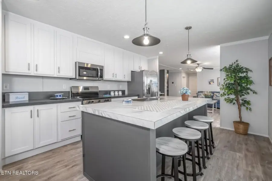 4442 Anna Maria Lane, Strawberry Plains, TN 37871 - #3