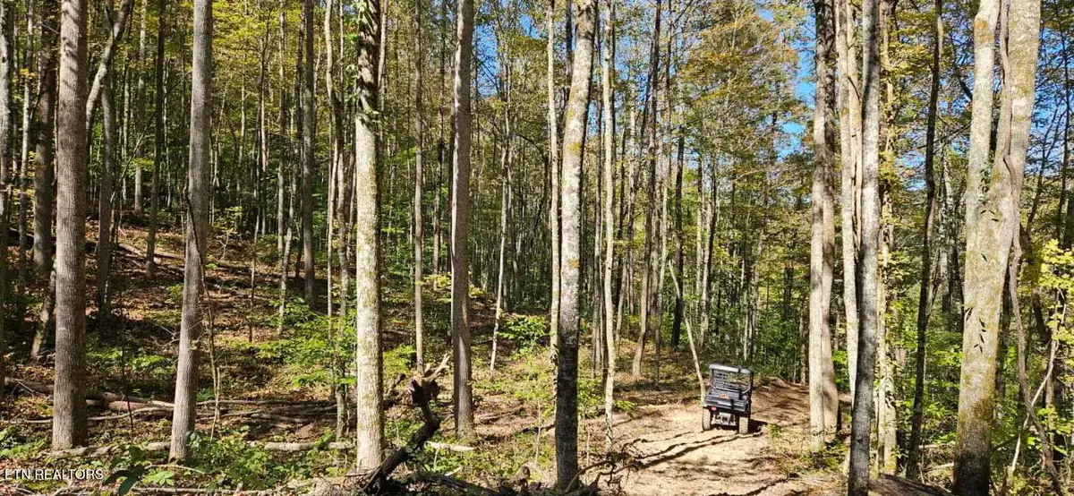 Bunch Hollow Rd, New Tazewell, TN 37825 - #1