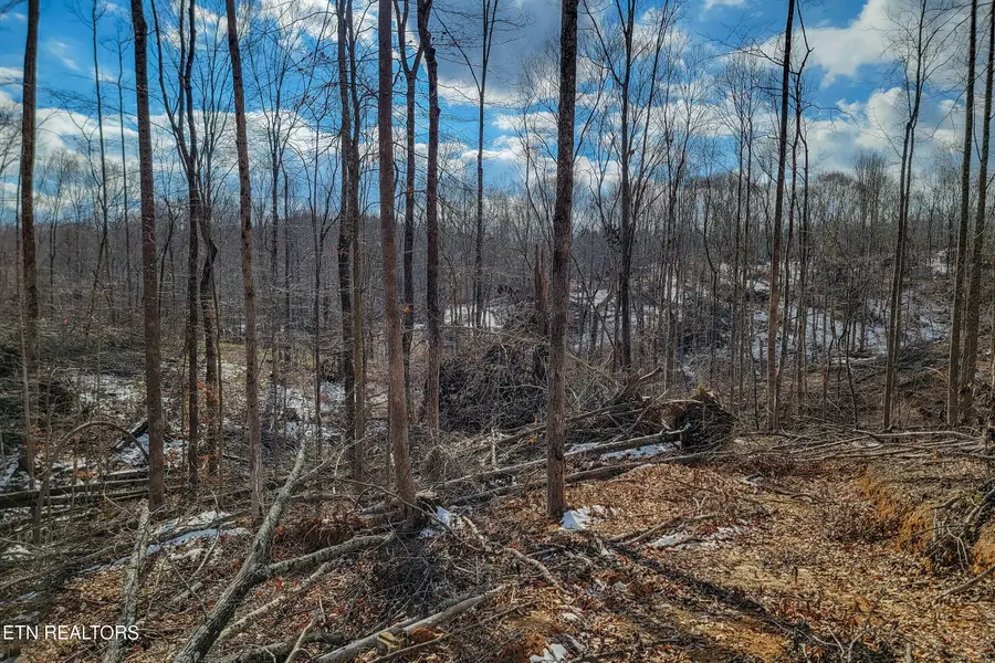 5.33 AC Hutchins Bend Rd, Sparta, TN 38583 - #2