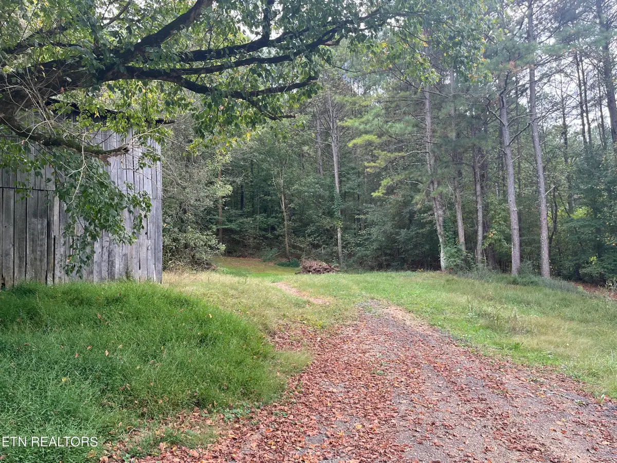 000 Cr 67 Rd, Riceville, TN 37370 - #1