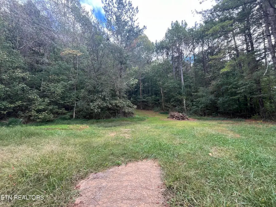 000 Cr 67 Rd, Riceville, TN 37370 - #3