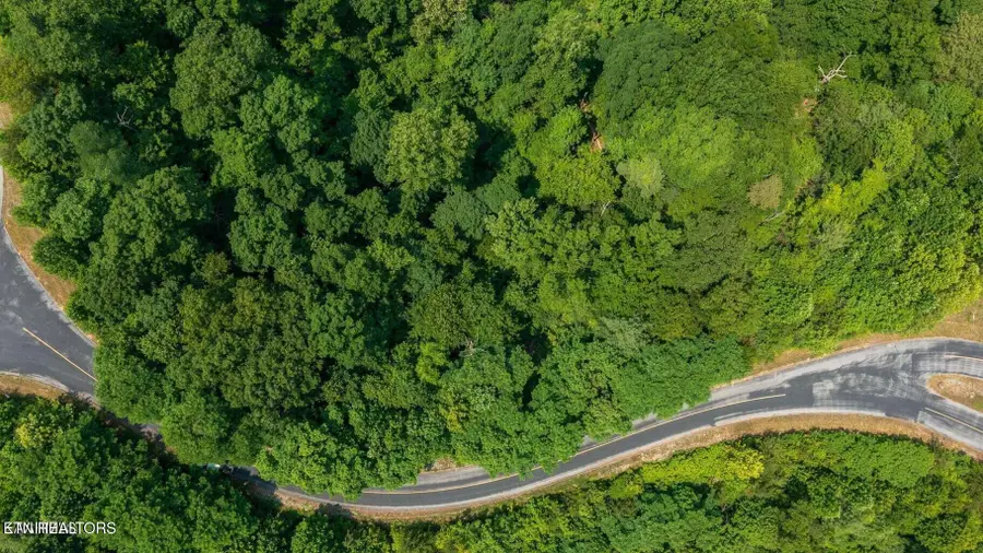 Lot 60W Longhunter Lane, Sevierville, TN 37862 - #2