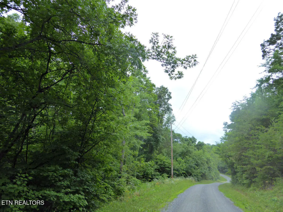 550-551 Spring Lane, Baneberry, TN 37890 - #1