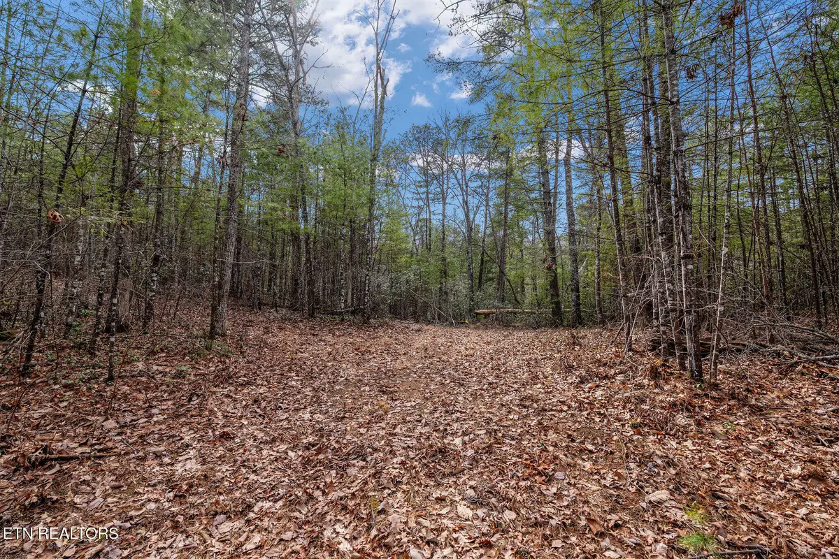 Lot 14 Paint Horse Way, Sevierville, TN 37876 - #1