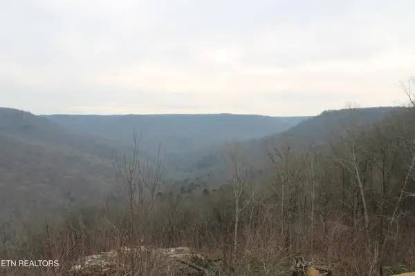 E Bobcat Lane, Jamestown, TN 38556