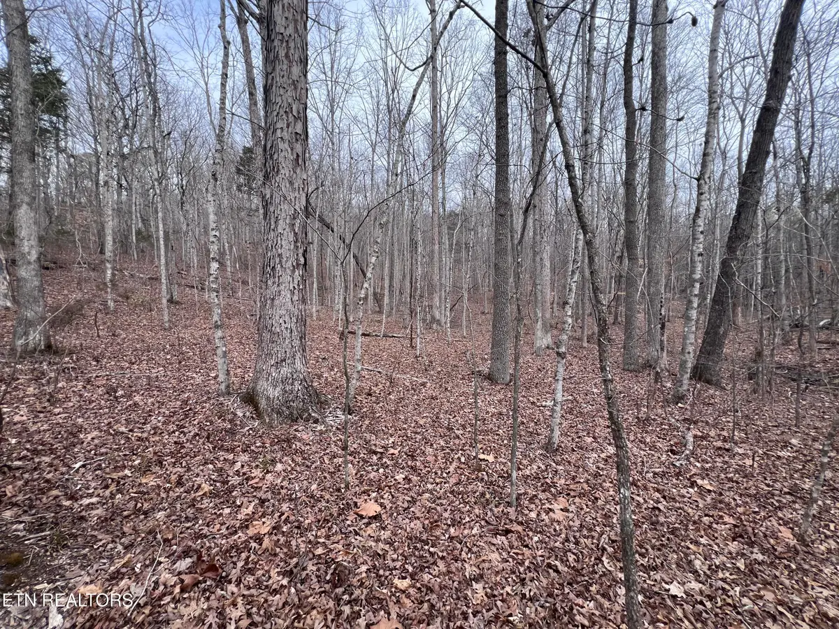 Buffalo Cove Lane, Jamestown, TN 38556 - #1