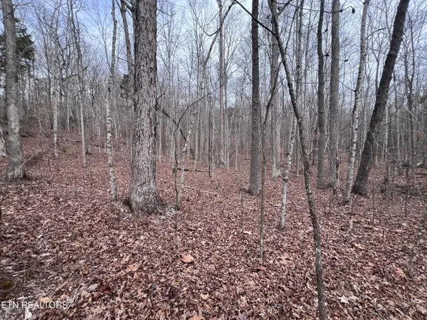 Buffalo Cove Lane, Jamestown, TN 38556