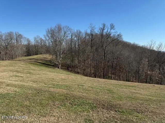 00 Smithville Hwy, Silver Point, TN 38582 - #3