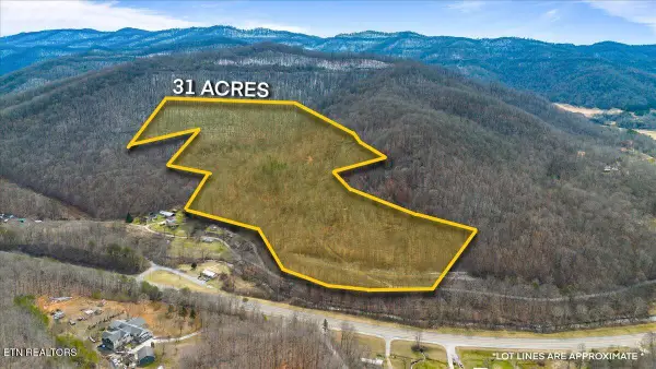 Straight Fork Rd, Pioneer, TN 37847