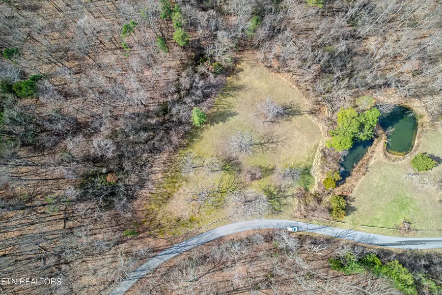 Collier Loop, Dandridge, TN 37725 - #2