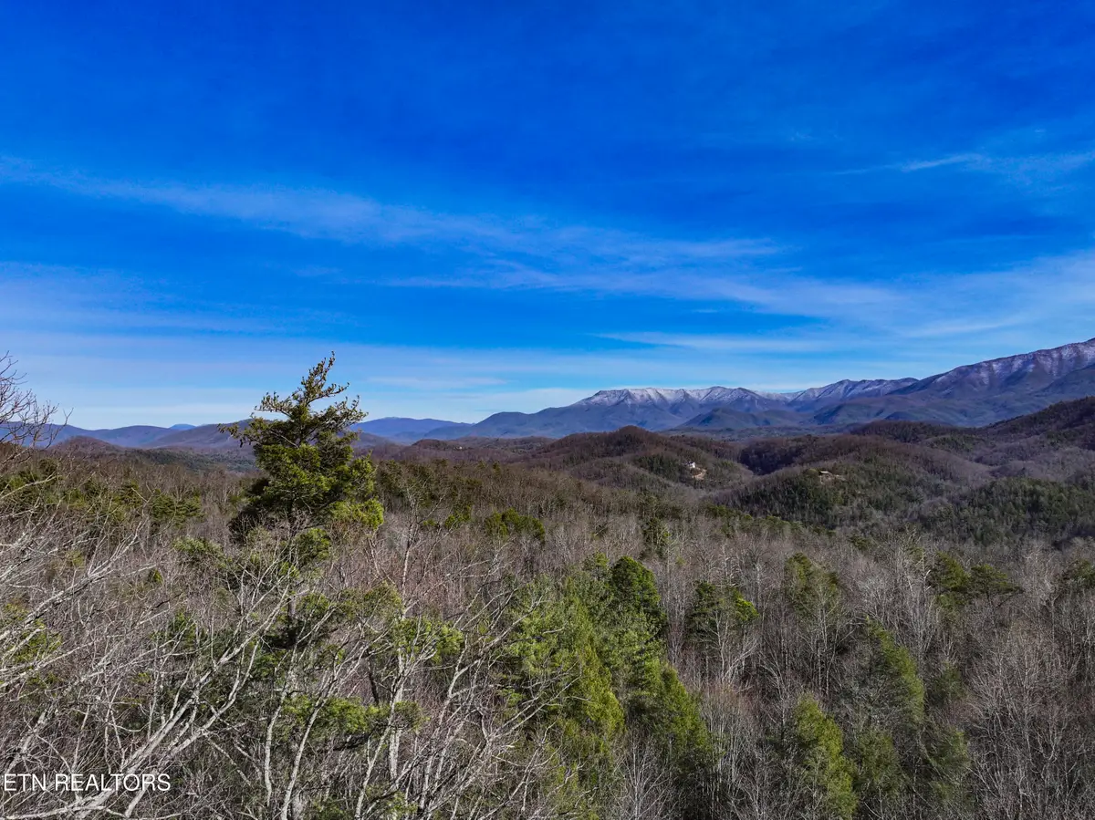 Henry Town Rd, Sevierville, TN 37876 - #1