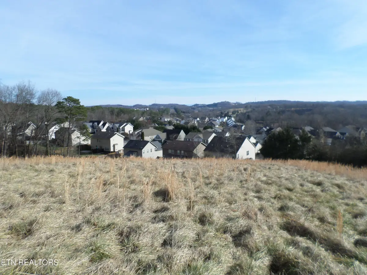 Lot 2, Dogwood Rd, Knoxville, TN 37931 - #1