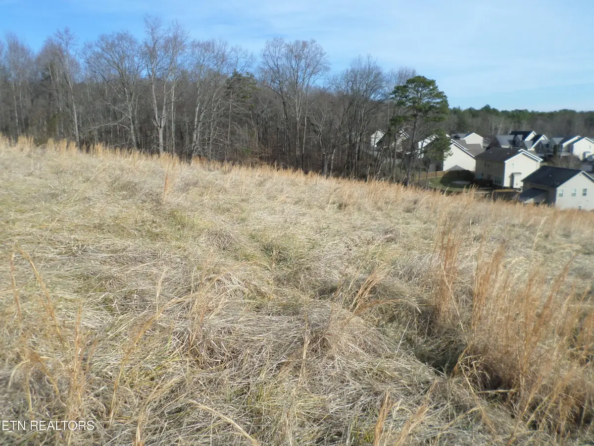 Lot 3, Dogwood Rd, Knoxville, TN 37931 - #1