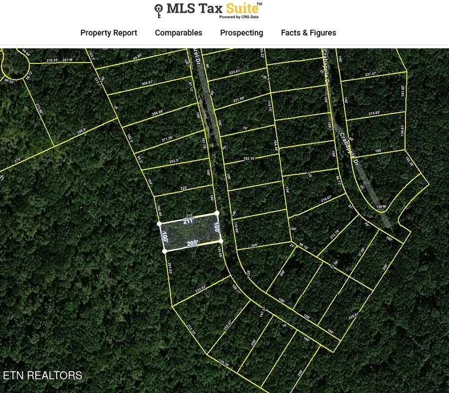 Mountain Laurel Drive, Crab Orchard, TN 37723 - #2