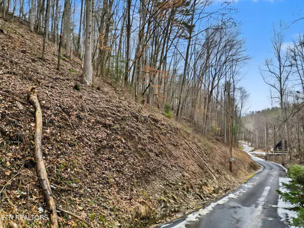 Lot 6 Emerald Springs Loop, Sevierville, TN 37862