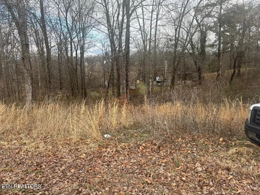 Lot 39 Idlewild Drive, White Pine, TN 37890 - #2