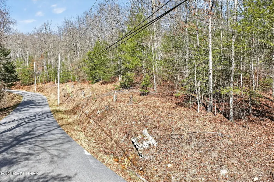 Dogwood Rd, Grandview, TN 37337 - #3