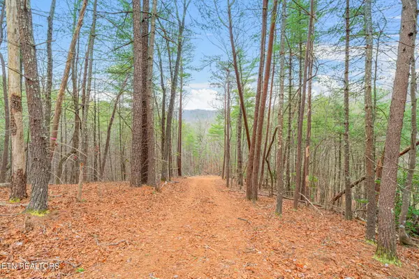Rafter Rd #129 019.02, Tellico Plains, TN 37385