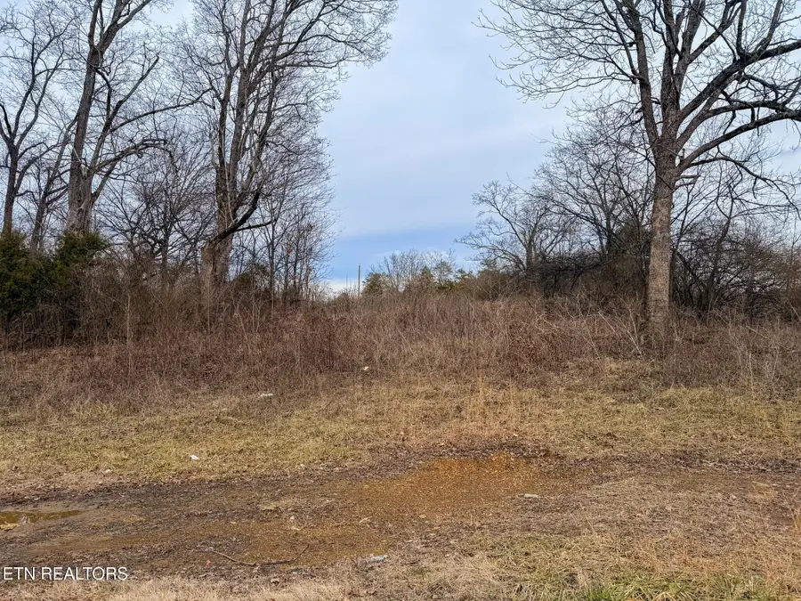 00 County Road 334, Niota, TN 37826 - #3