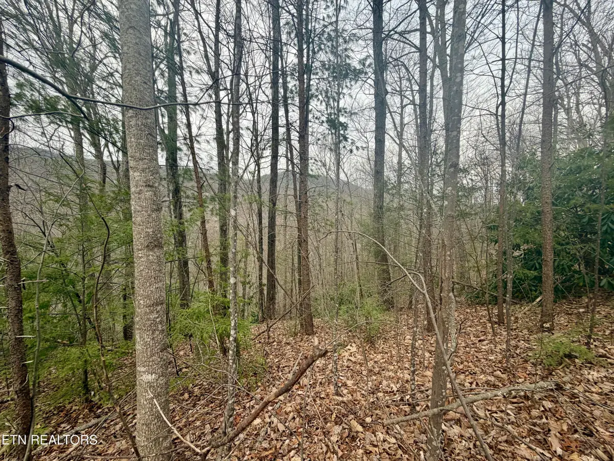 Lot 6 Thissa Way, Gatlinburg, TN 37738 - #1