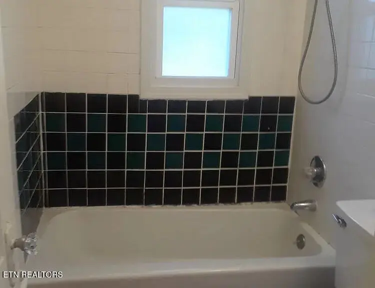 113/115 Walsh Lane, Oak Ridge, TN 37830 - #3