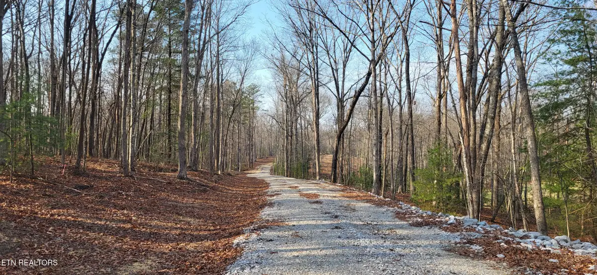 2936 Leatherwood Ford Rd, Jamestown, TN 38556 - #1