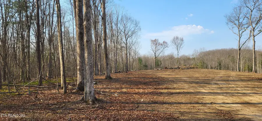 2936 Leatherwood Ford Rd, Jamestown, TN 38556 - #3