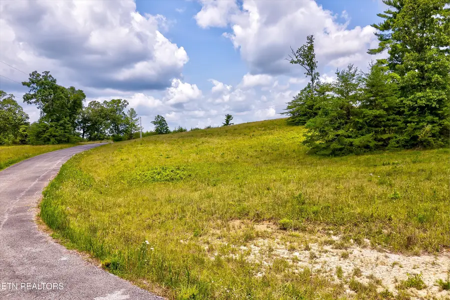 Highway 62, Deer Lodge, TN 37726 - #2