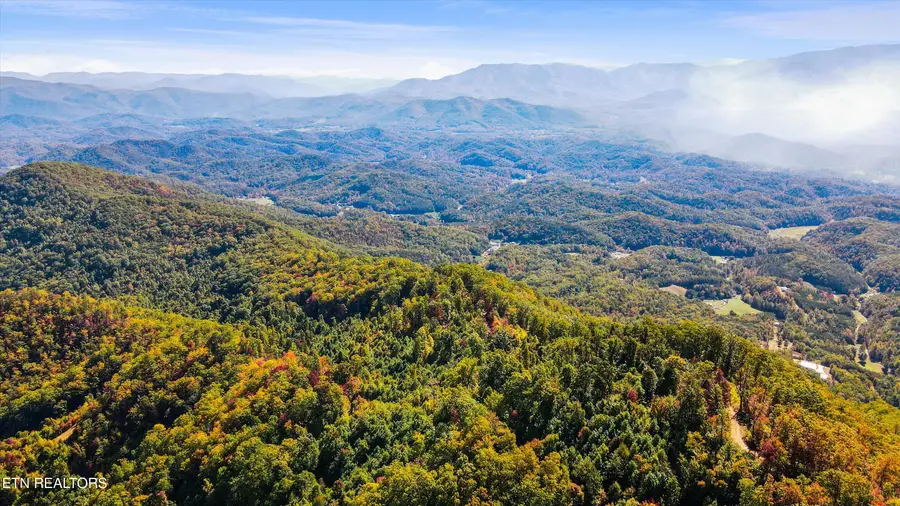 Wilhite Rd & Alpine Dr, Sevierville, TN 37876 - #3