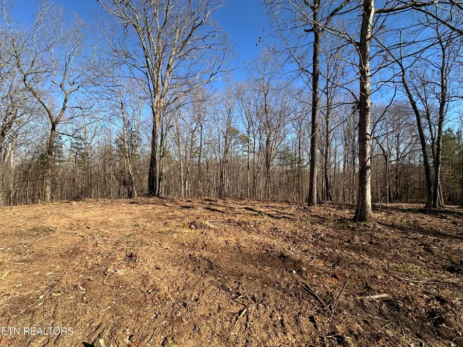 14.53 Ac Pickett Park Hwy, Jamestown, TN 38556 - #3