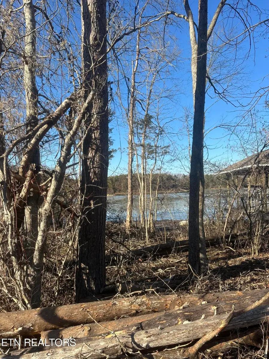 Lot 14 Falcon Tr, Vonore, TN 37885 - #3