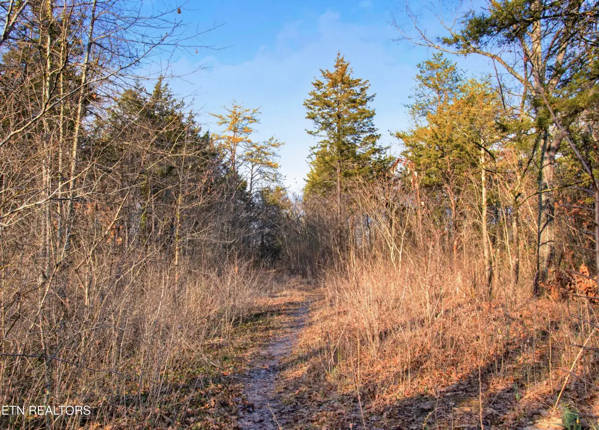 732 & 734 Hialeah Drive, Knoxville, TN 37920 - #1