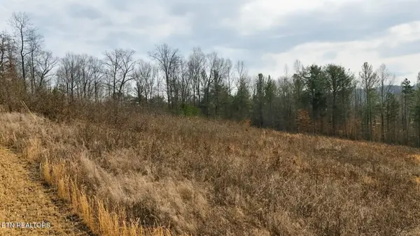 TBD Pinnacle Pointe Way, Sharps Chapel, TN 37866