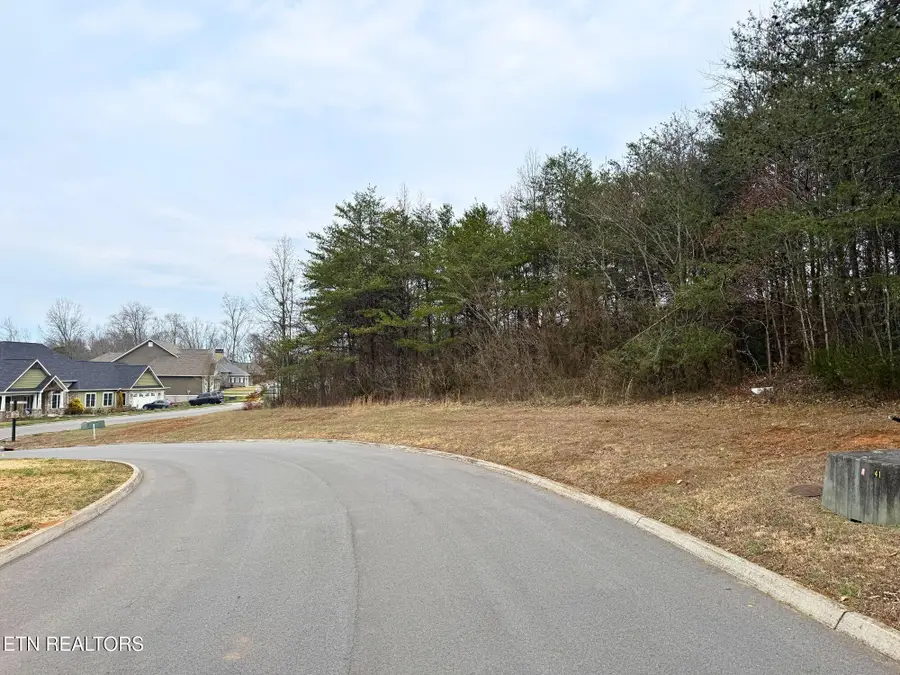 Lot 93 Red Wing Drive, Vonore, TN 37885 - #2