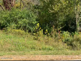 624 Thompson Creek Lane, Cookeville, TN 38506