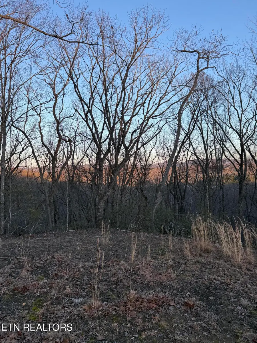 Hunter Hills Drive, Oneida, TN 37841 - #3