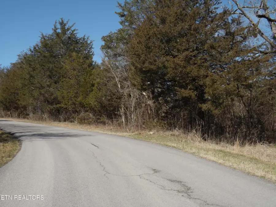 259 Mountain Shores Rd, New Tazewell, TN 37825 - #3