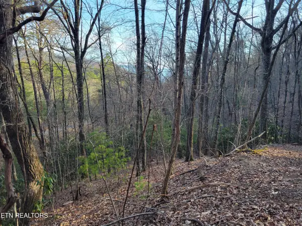 Lot 5 Swann Saddle, Sevierville, TN 37876