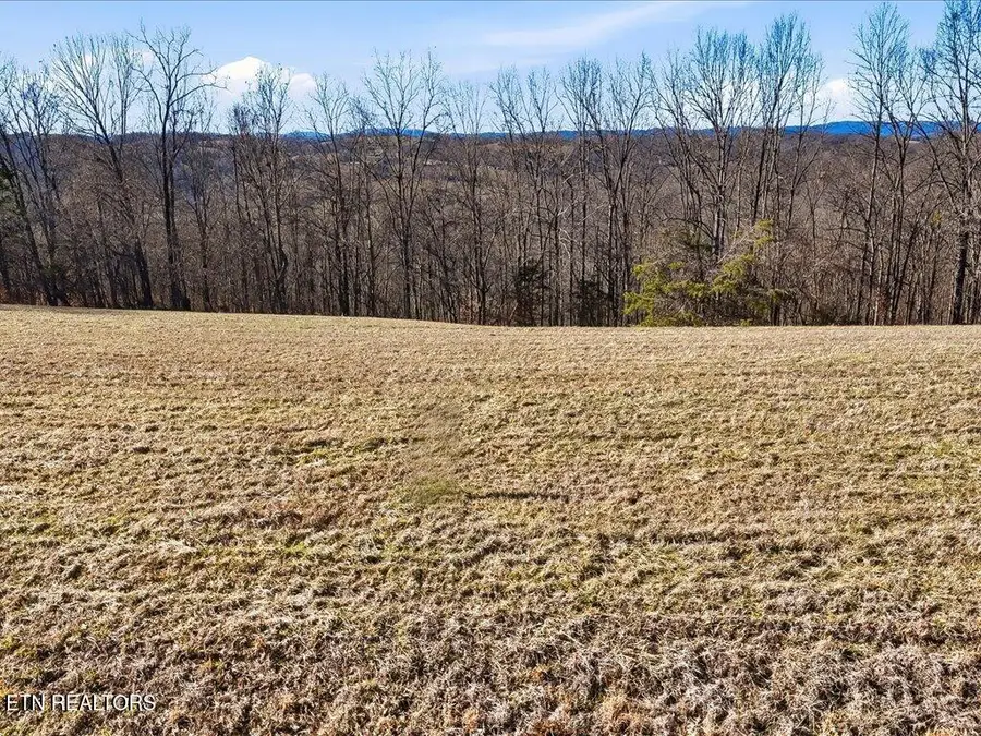 Lot 284 Smokey Quartz Blvd, New Tazewell, TN 37825 - #3