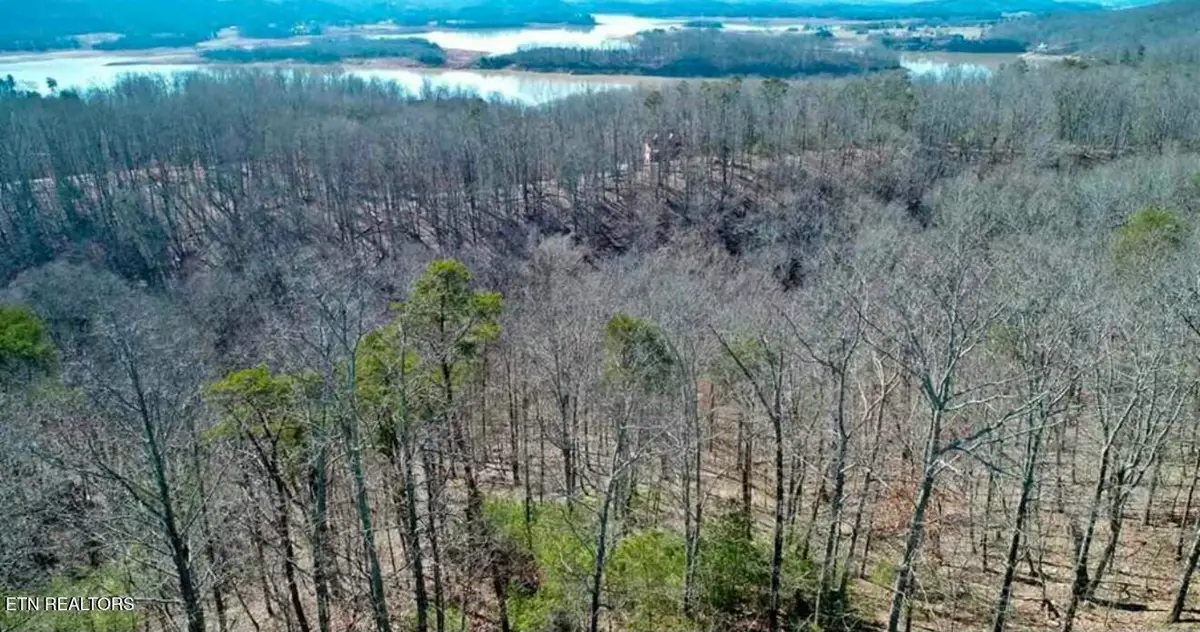 1410 Echota Lane, Mooresburg, TN 37811 - #1