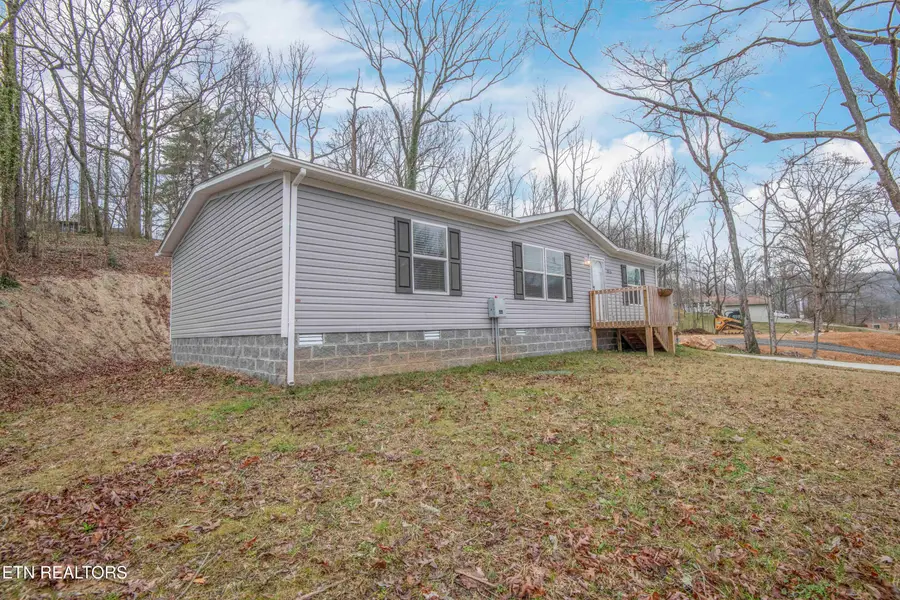 315 Molyneux St, Rockwood, TN 37854 - #2