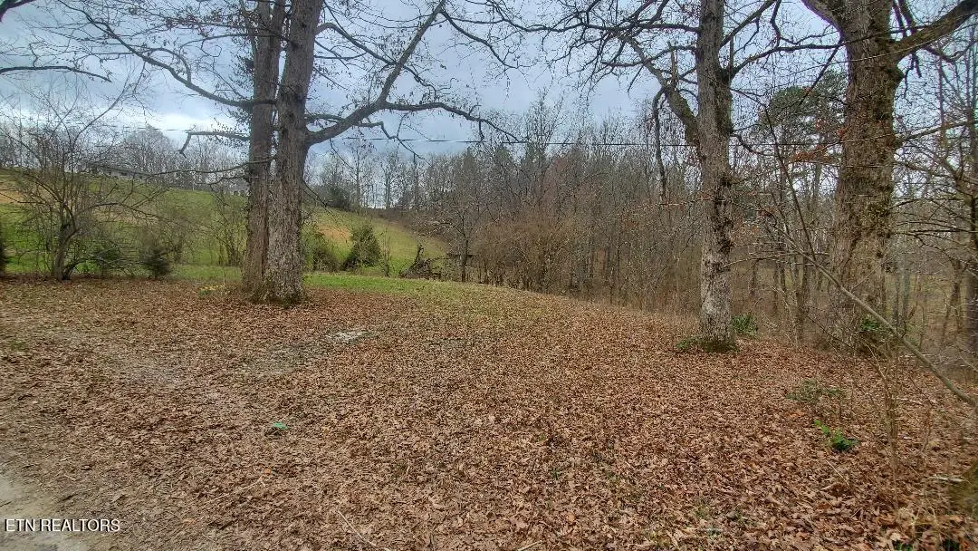 226 Keeton Lane, Oneida, TN 37841 - #1