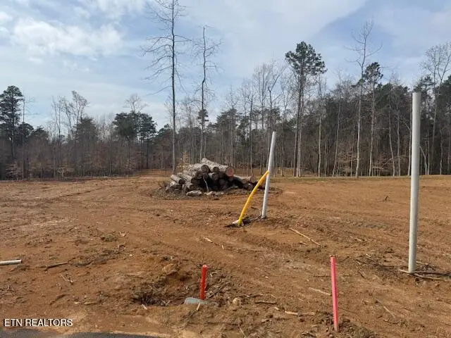 6269 Lakeview Rd, Lenoir City, TN 37772 - #3