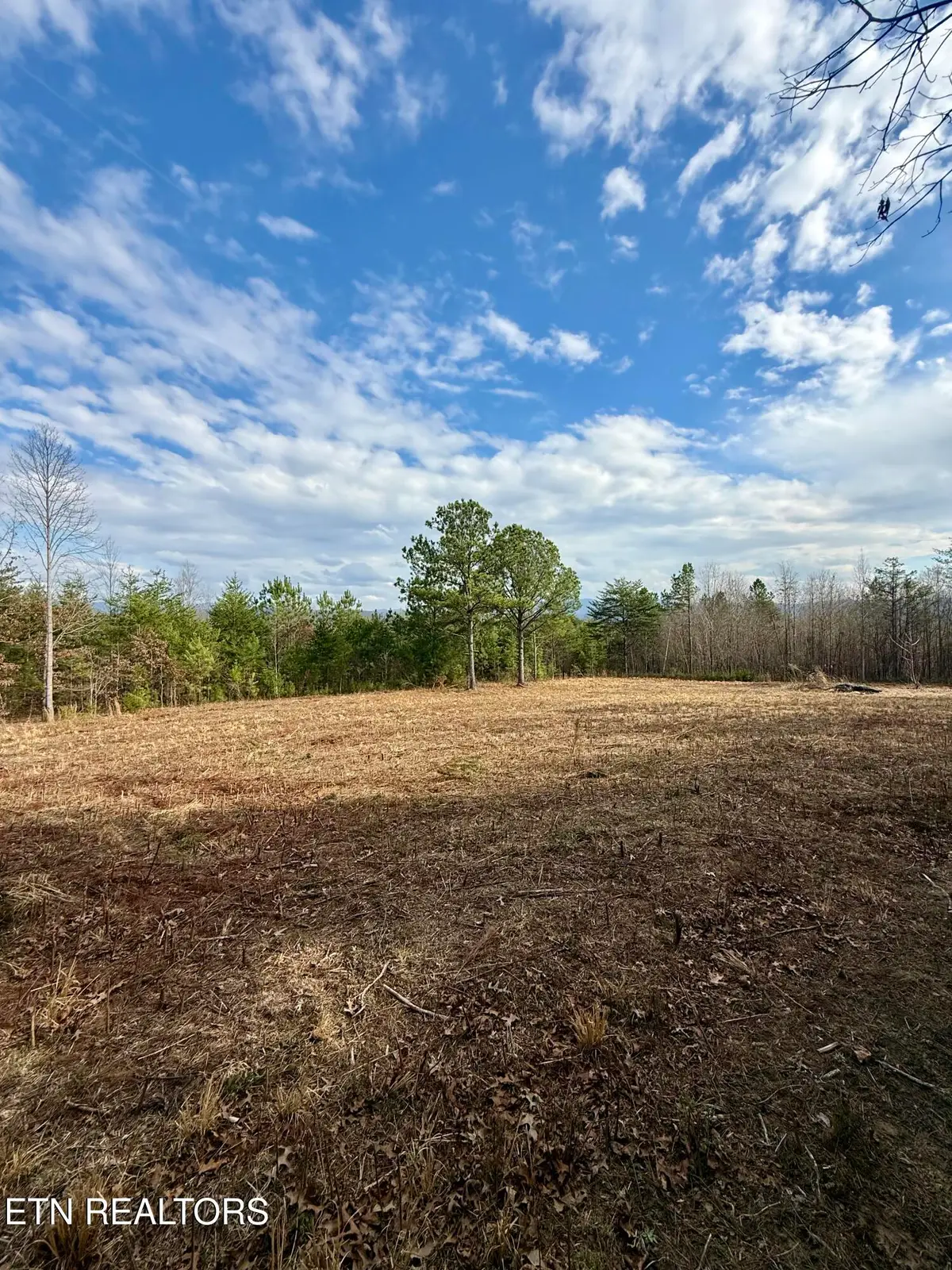 Lots 8 & 9 Curtis Rd, Tellico Plains, TN 37385 - #1