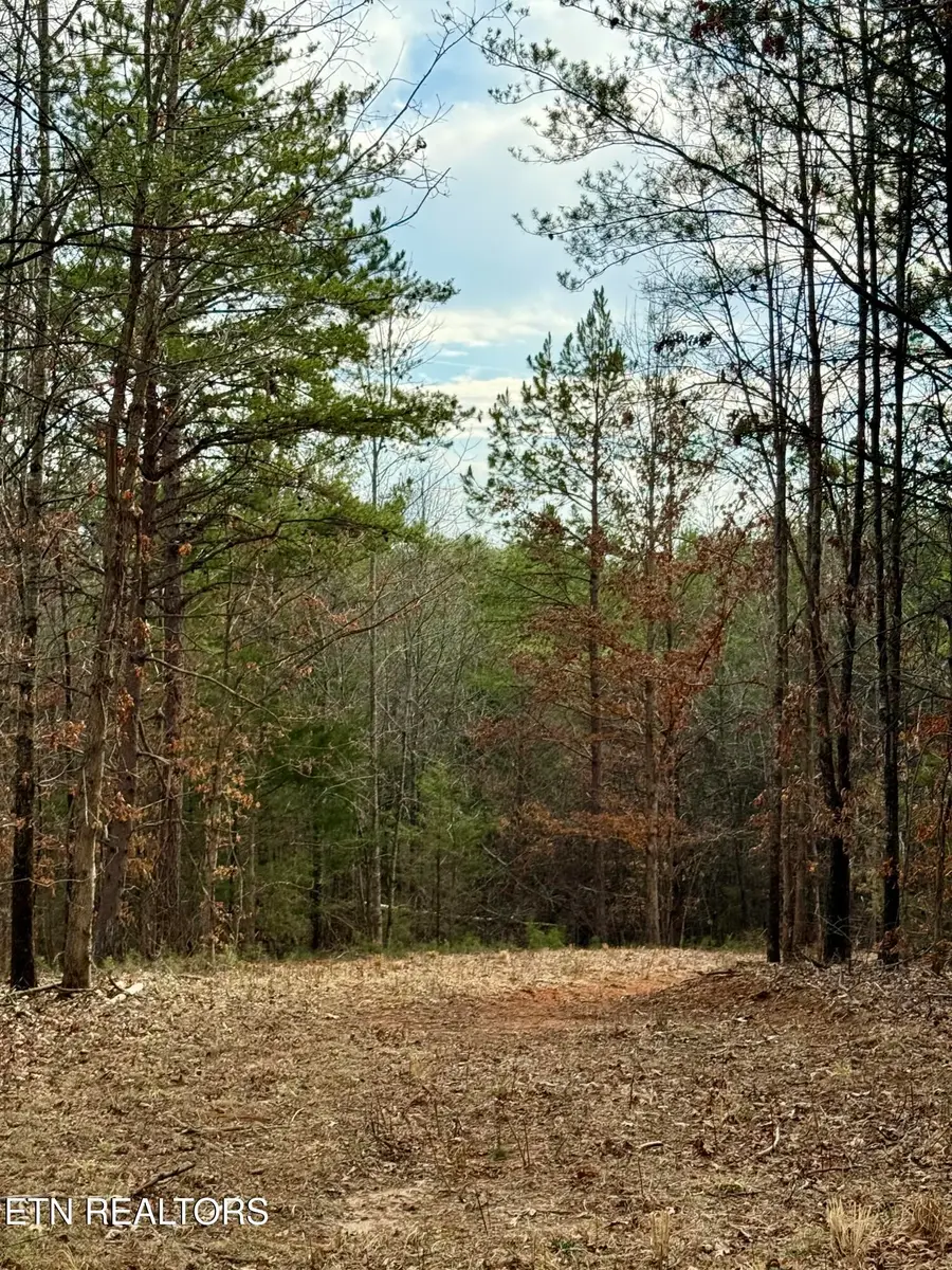 Lots 8 & 9 Curtis Rd, Tellico Plains, TN 37385 - #3