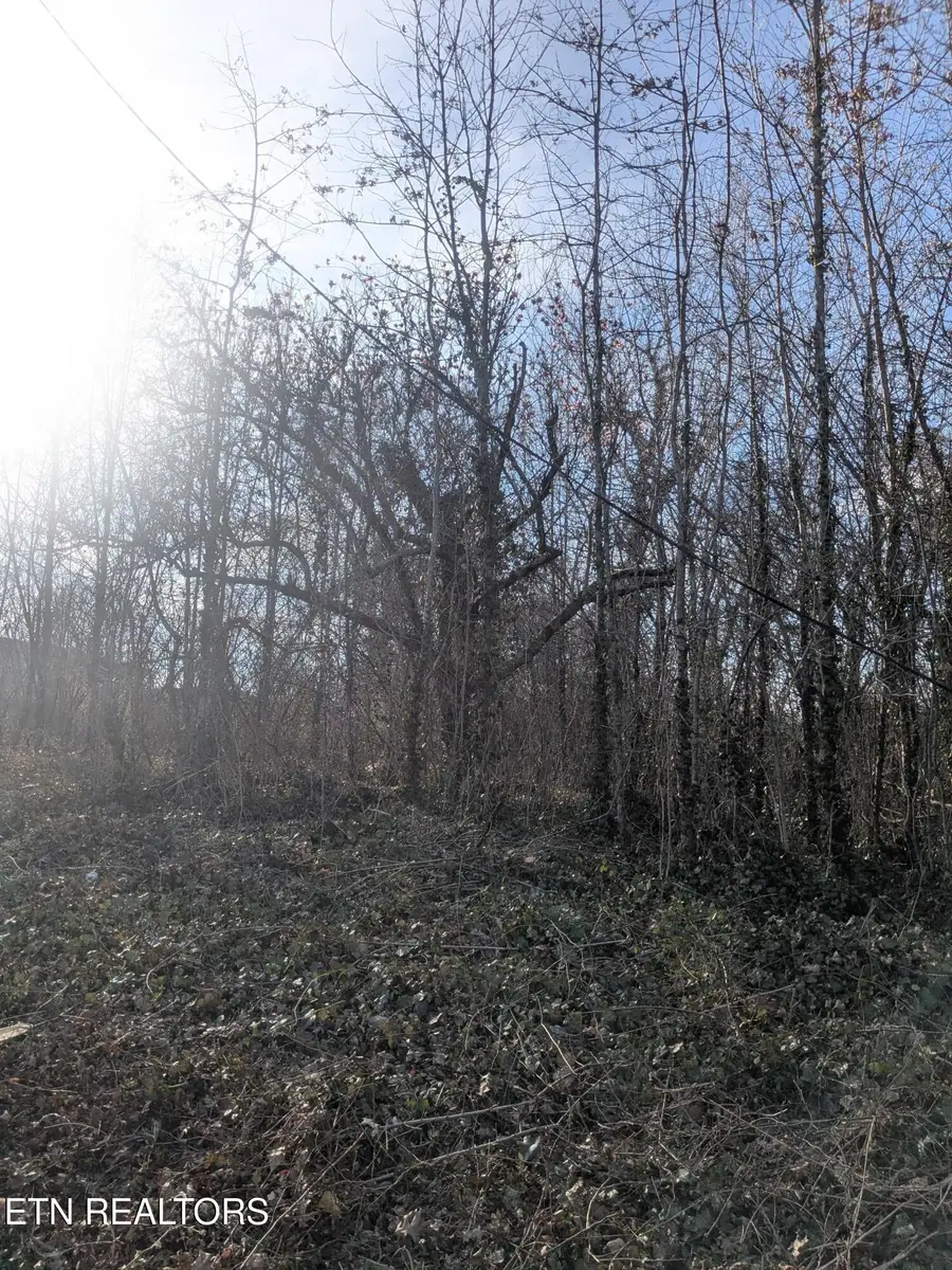 1429 Lewis Ave, Knoxville, TN 37920 - #3