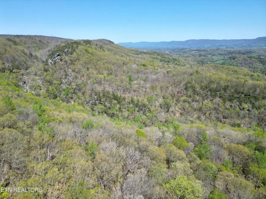 Old Spencer Rd. - 26 Acres Rd, Pikeville, TN 37367 - #3
