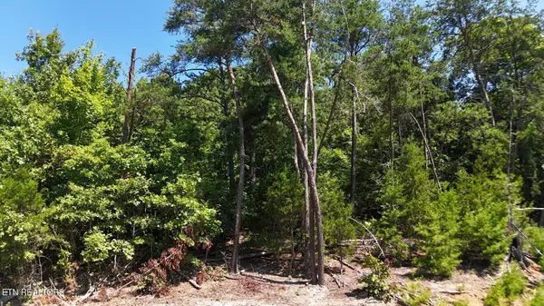 Lot 2 Flat Woods Rd, Dandridge, TN 37725